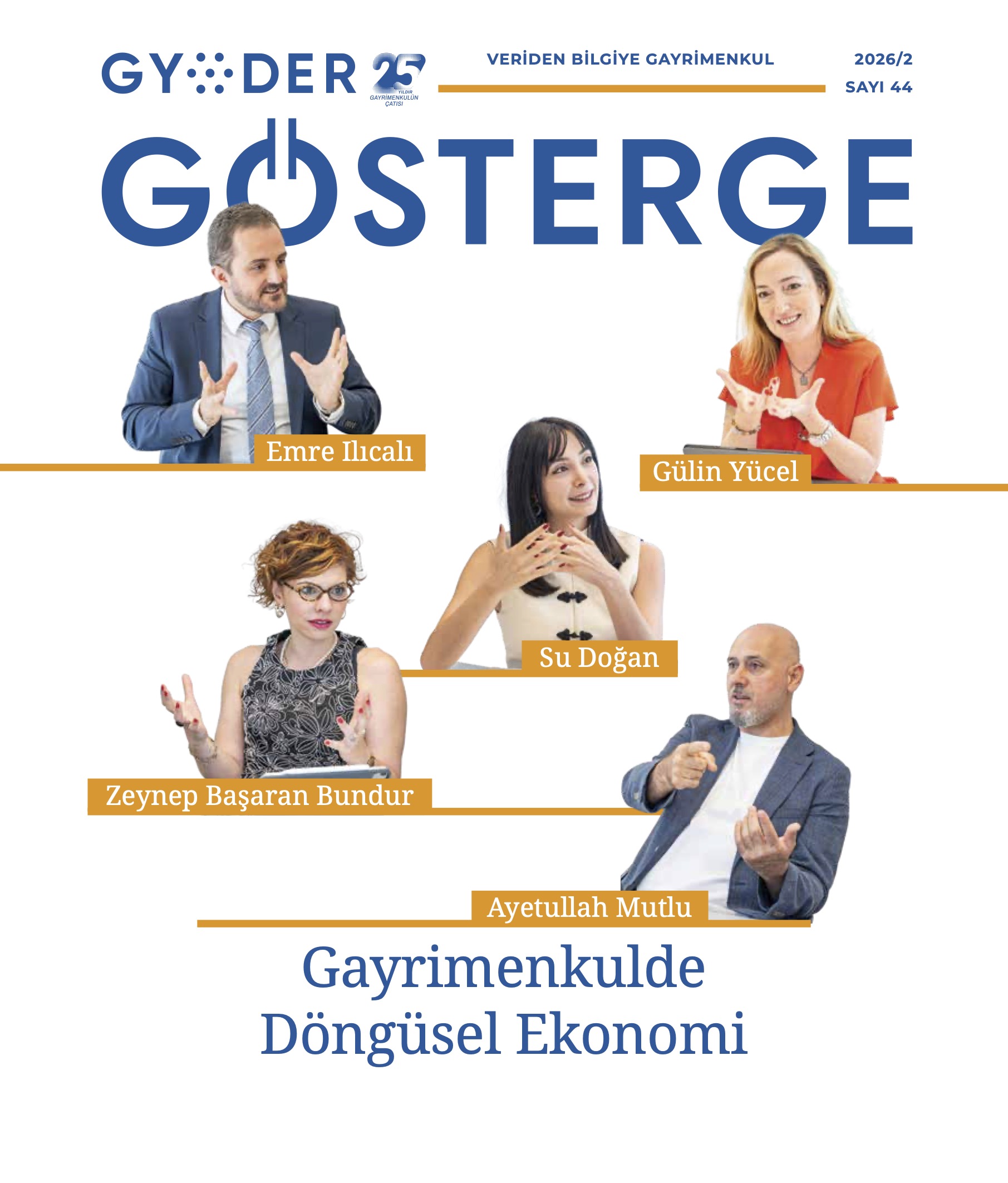 Publication Image